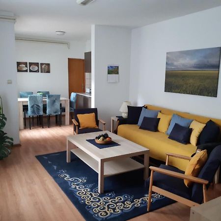 Apartman Mitic Pozsarevác Kültér fotó