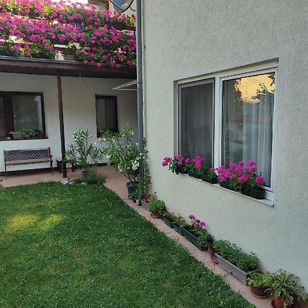 Apartman Mitic Pozsarevác Kültér fotó