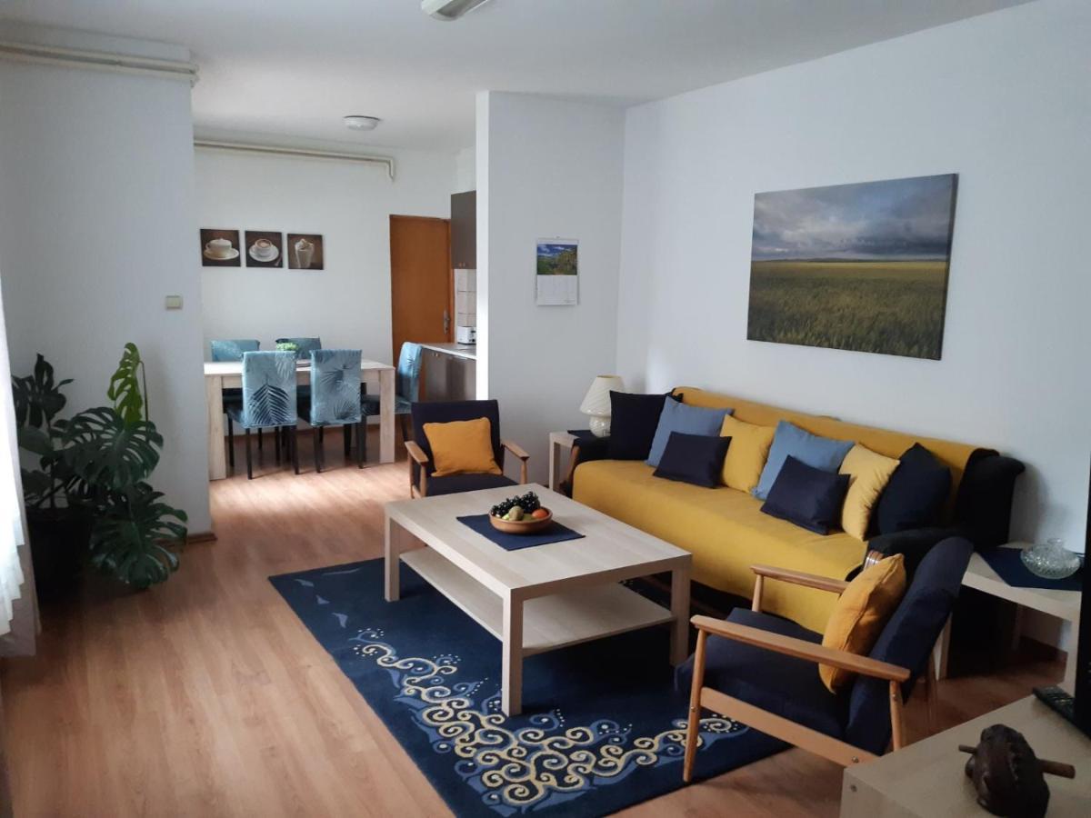 Apartman Mitic Pozsarevác Kültér fotó