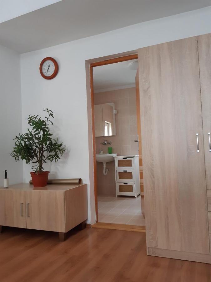 Apartman Mitic Pozsarevác Kültér fotó