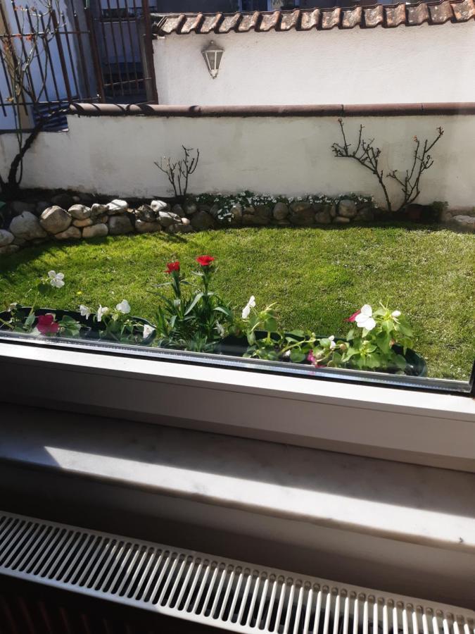 Apartman Mitic Pozsarevác Kültér fotó
