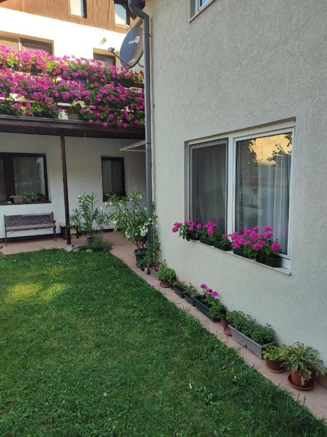 Apartman Mitic Pozsarevác Kültér fotó